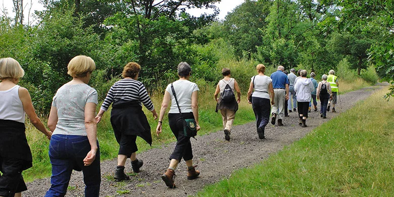 Group of walkers enjoying a relaxed evening walk together with a friendly social atmosphere